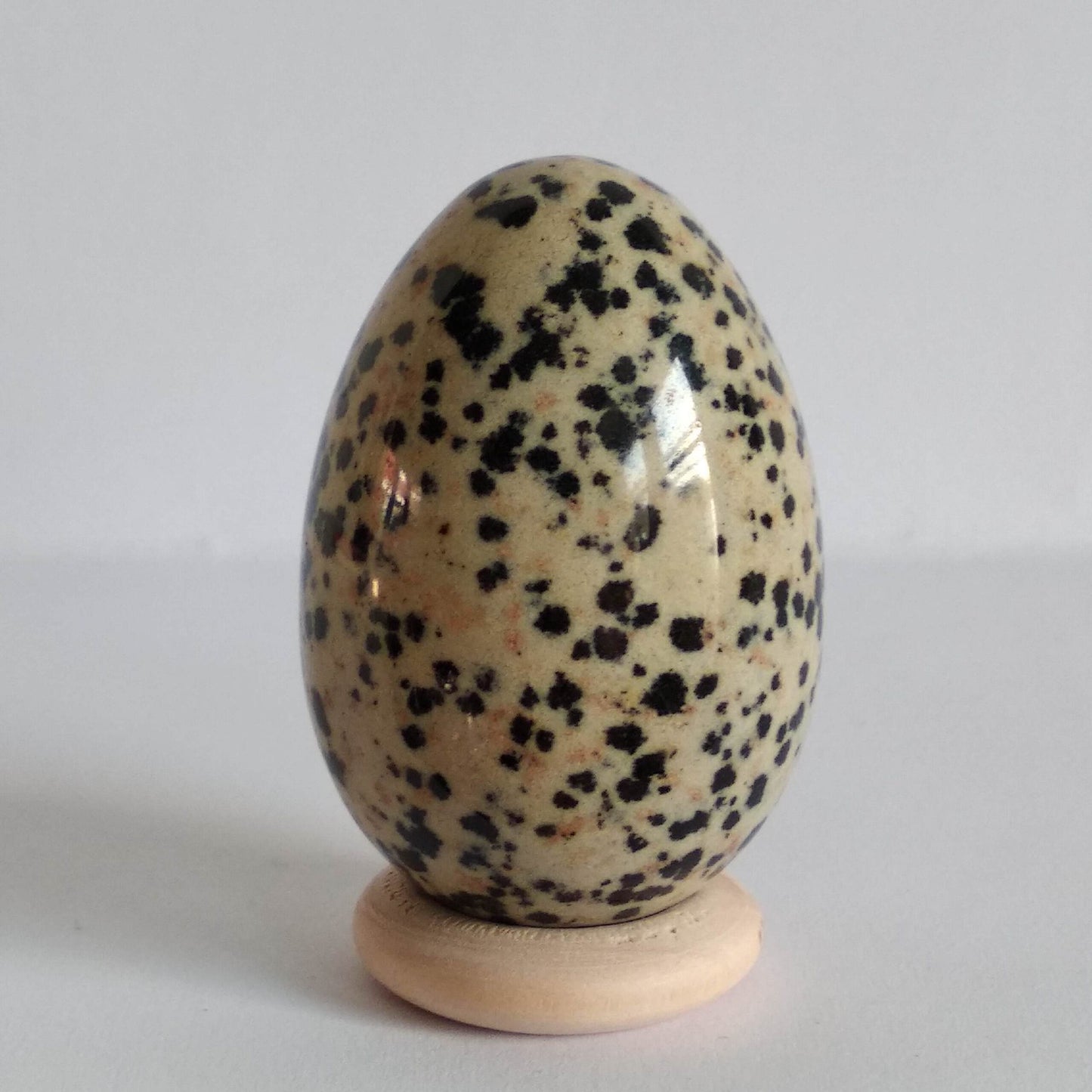 Dalmatiër Jaspis - M