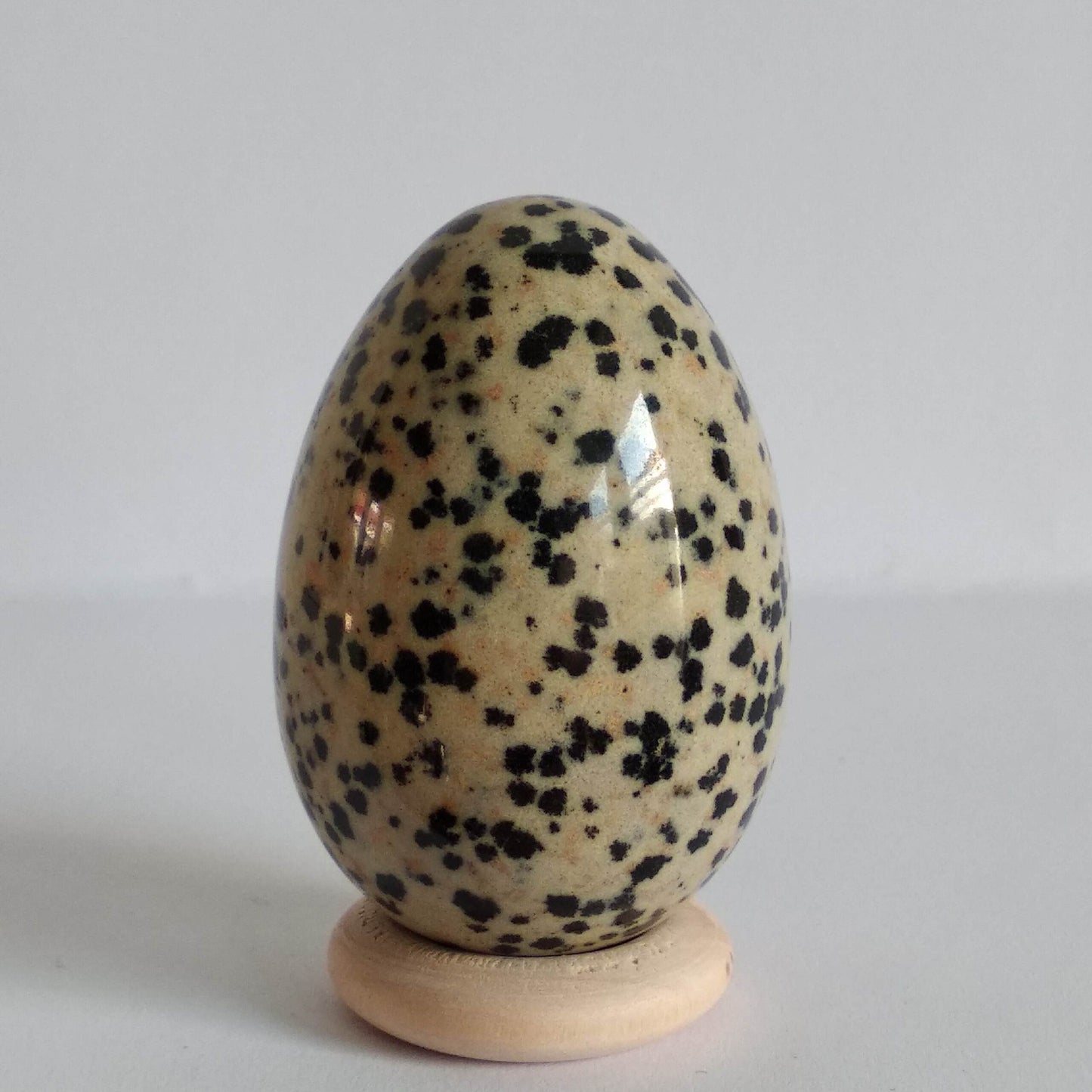 Dalmatiër Jaspis - M