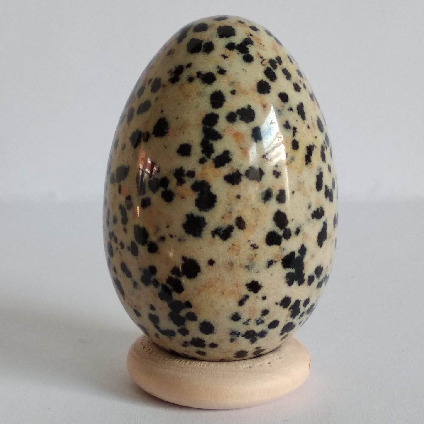 Dalmatiër Jaspis - M