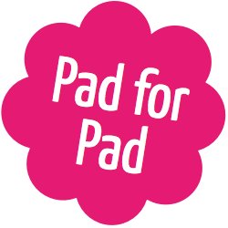 EcoFemme - Wasbaar maandverband - Night Pad